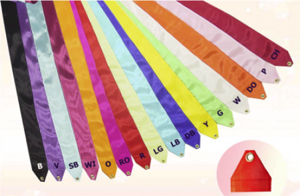 Graphic Design (1050x1200), Png Download