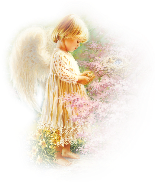 Sep 16th, - Angel (570x633), Png Download
