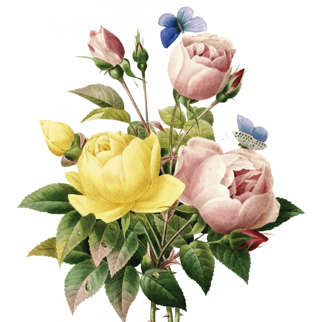 Poster Lindas Flores - Vintage Flower Illustration (640x640), Png Download