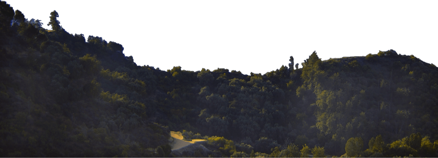 Homehero-foreground - Foreground Png (1439x519), Png Download