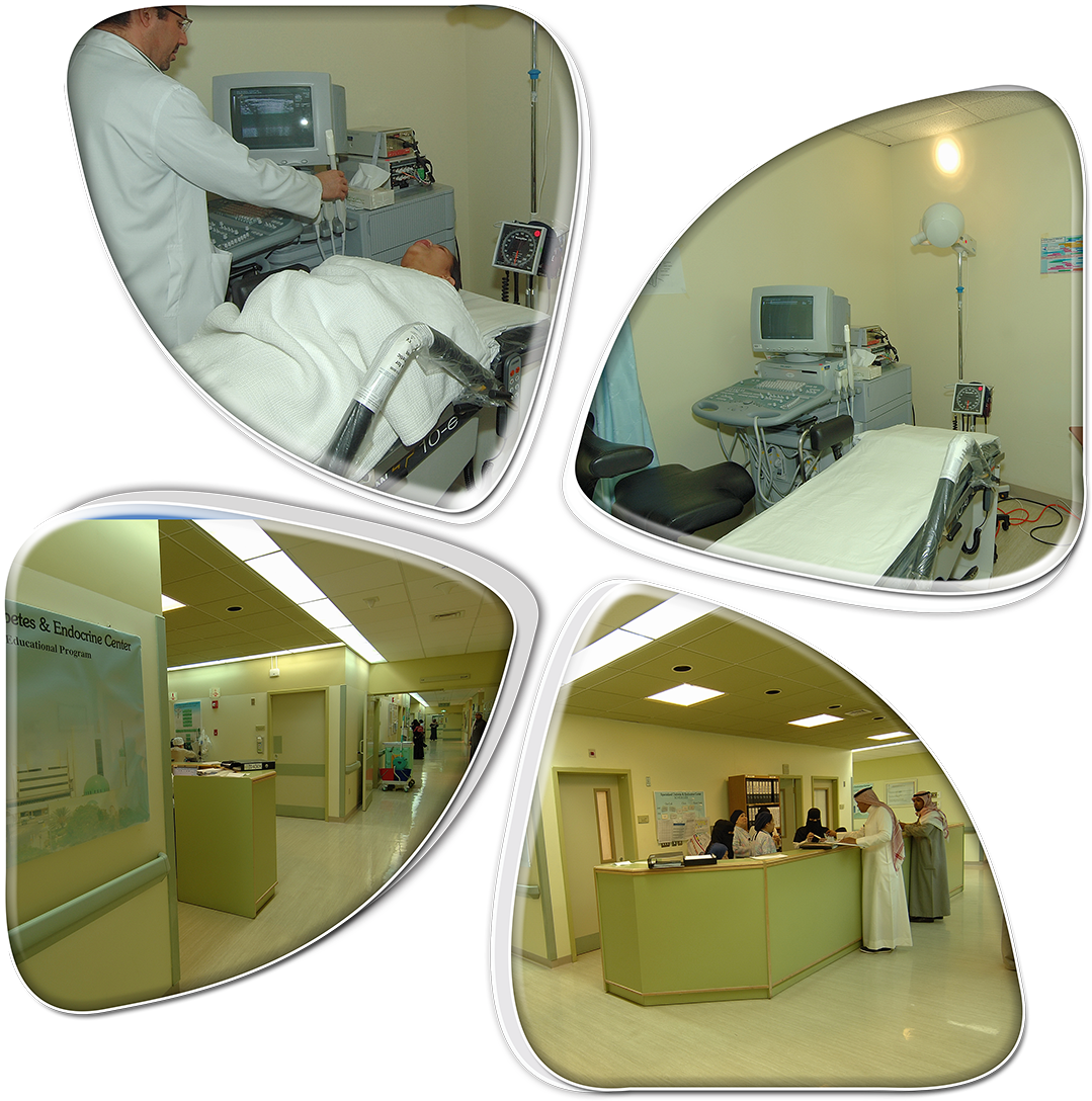 The Obesity, Endocrine, And Metabolism Center Was Established - Rear-view Mirror (1200x1230), Png Download