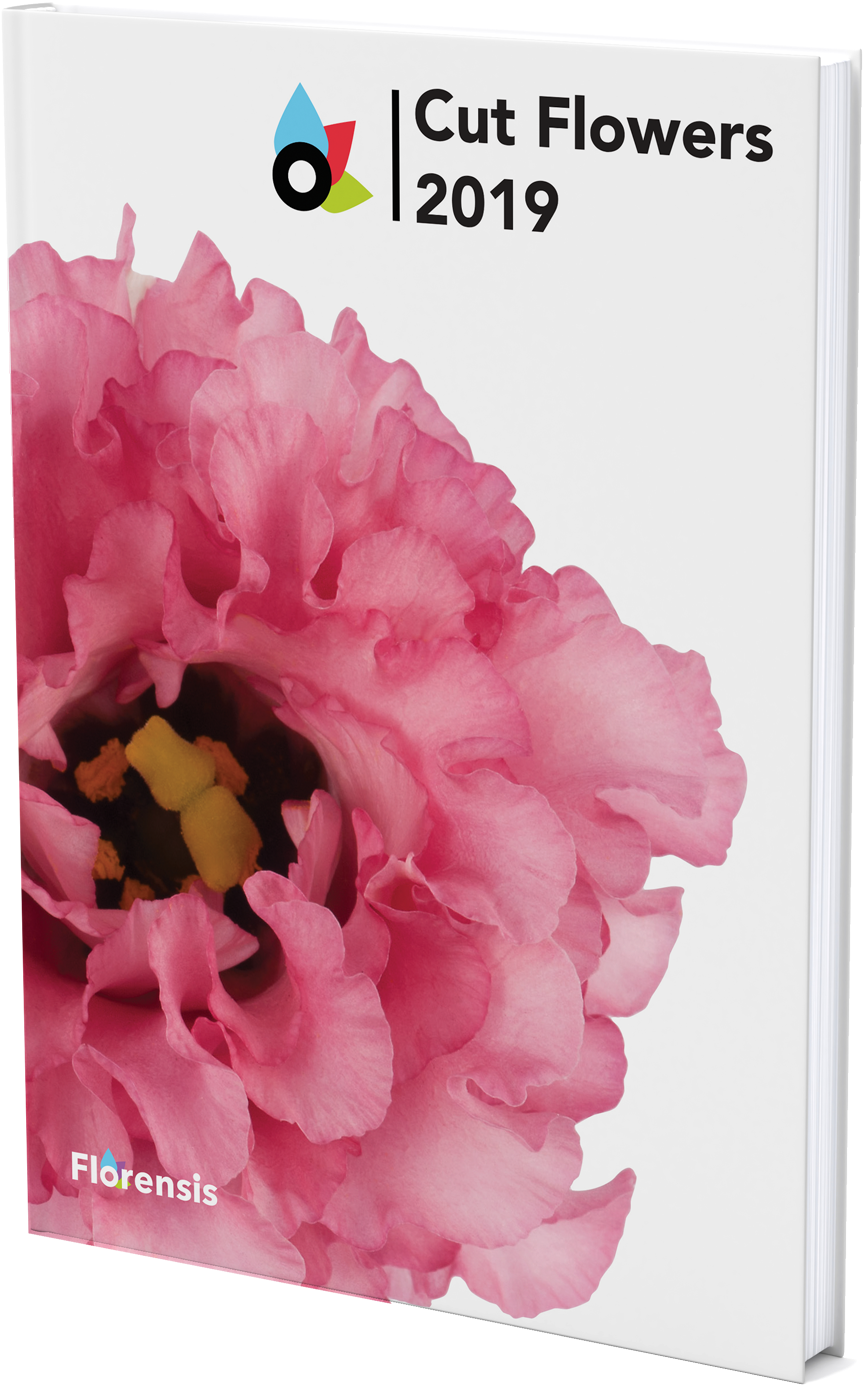 Catalogue (1367x1823), Png Download