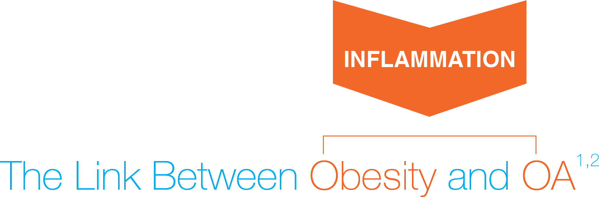 Obesity And Oa Graphic - Graphic Design (1963x646), Png Download
