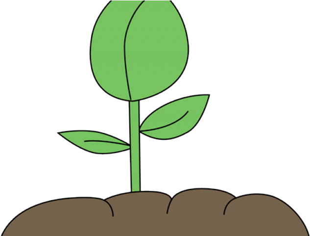 Graphic Tree Free Download Clip Art Carwad (640x480), Png Download