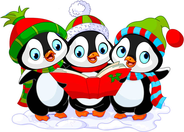 0 B210d 57c80881 Xl - Penguin Christmas Clipart (800x800), Png Download