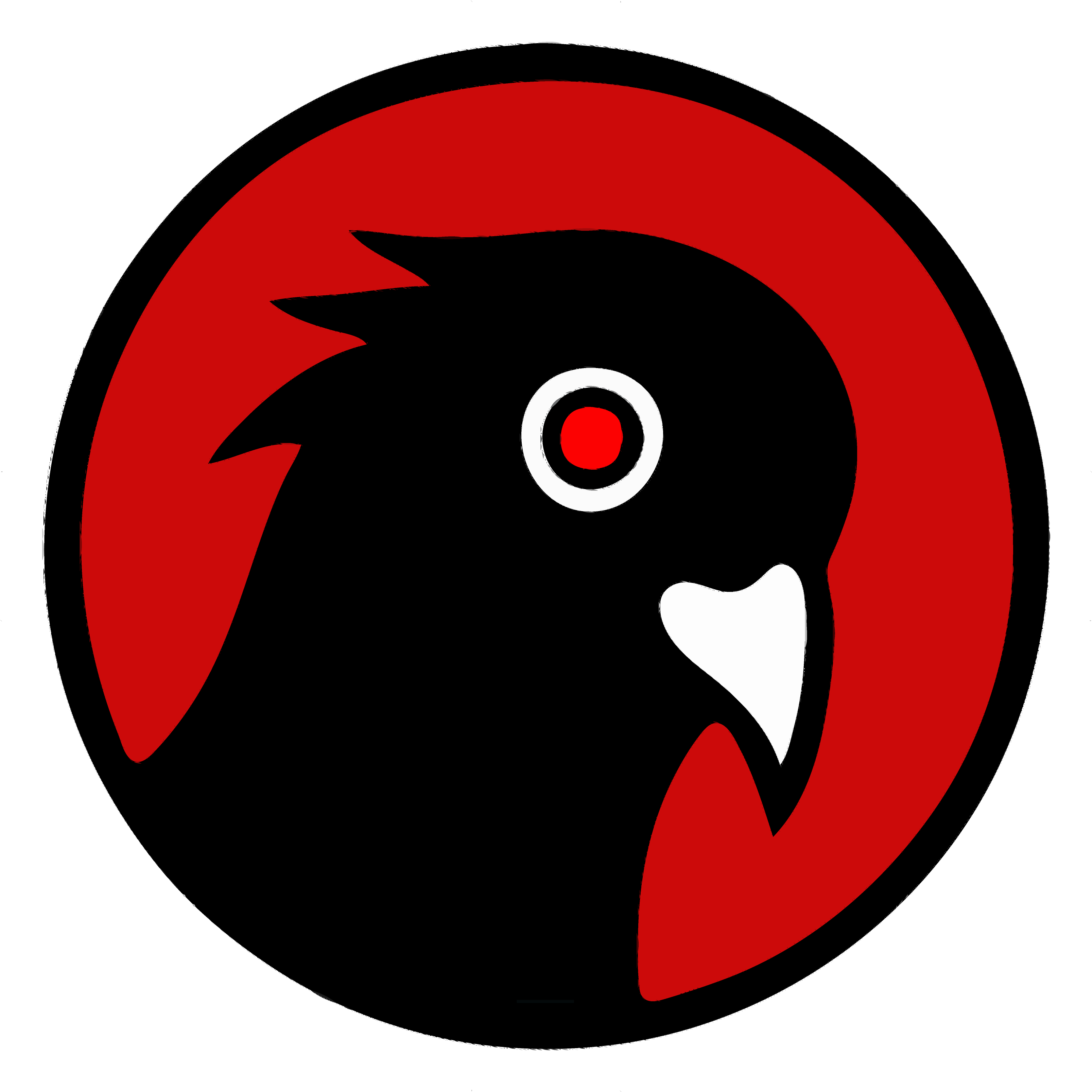 Civil War Bird Peace Free On Dumielauxepices - Black Pigeon (3616x3368), Png Download