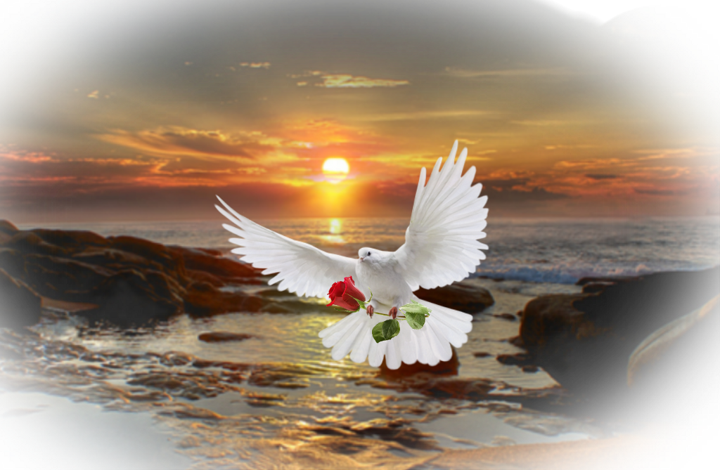 Pigeon Sticker - Imagem Digital Vs Hd (1024x669), Png Download
