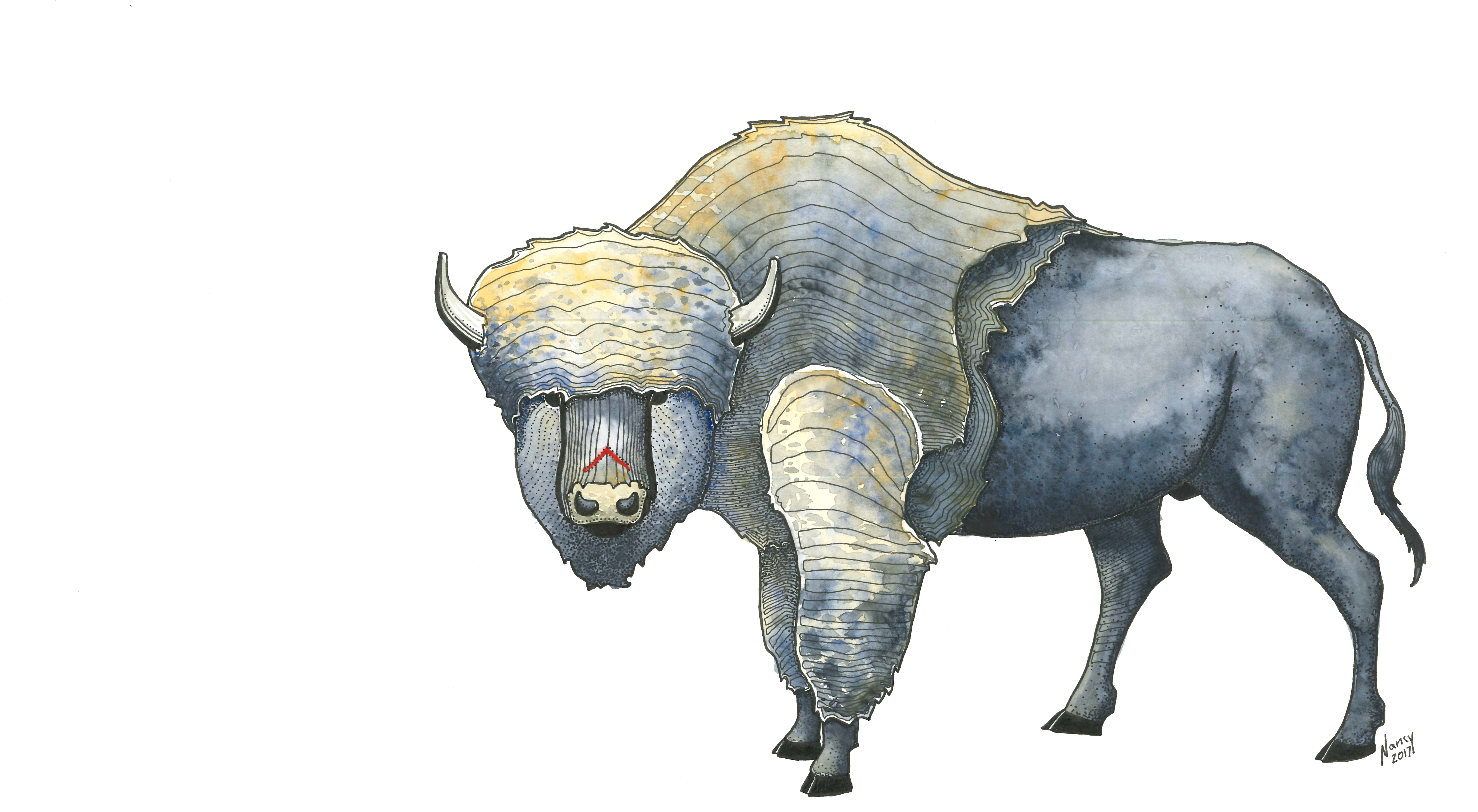Bison (5100x3300), Png Download