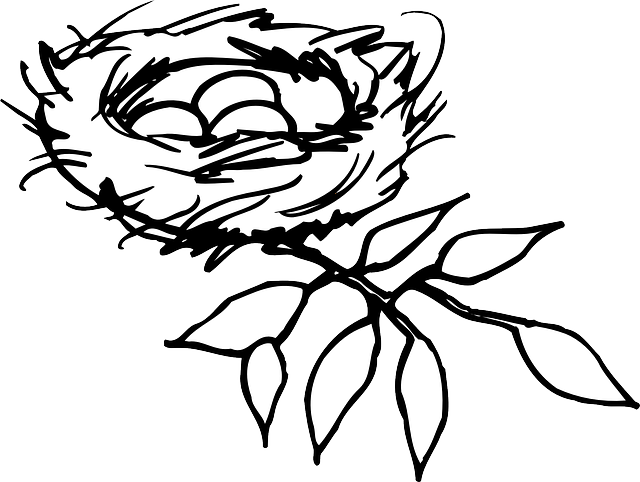 Nest, Eggs, Birds, Branch, Mystery, New, Life, Care - Nest Clipart Black And White (640x482), Png Download