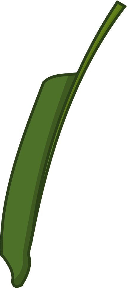 Crane Flower (426x961), Png Download