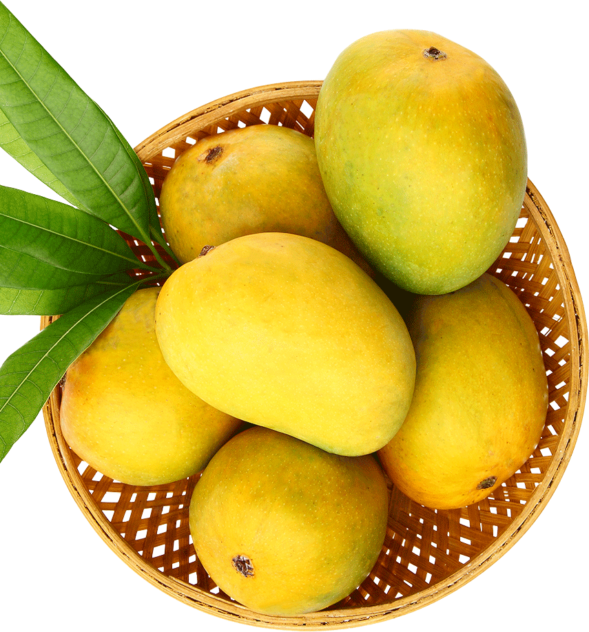 M - Ataulfo (855x918), Png Download