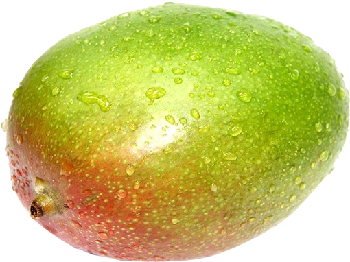 Green Farm - Avocado (560x600), Png Download