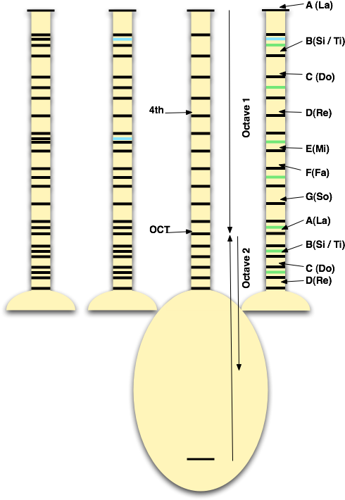 Bağlama "long Neck" Frets - Saz Baglama (500x716), Png Download