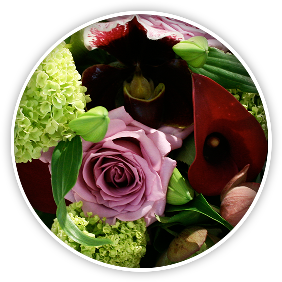 Flowers & Bouquets - Floribunda (600x600), Png Download