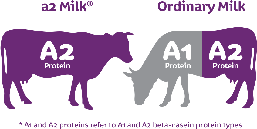 As Far As Charak Amurth Milk Is Concerned Both Regular - A1 And A2 Milk (967x483), Png Download