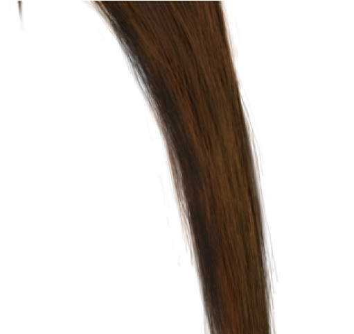 Brown Hair Clipart Overlay Photoshop - Lace Wig (640x480), Png Download