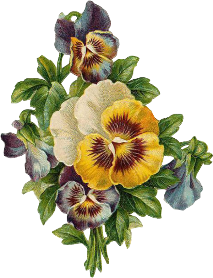 Leaves Sticker - Kartka Na Dzień Babci (1024x1024), Png Download
