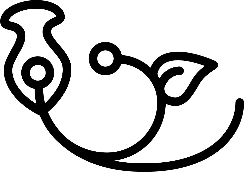 One Branch With One Flower One Seed And One Leaf Comments - Portable Network Graphics (981x694), Png Download