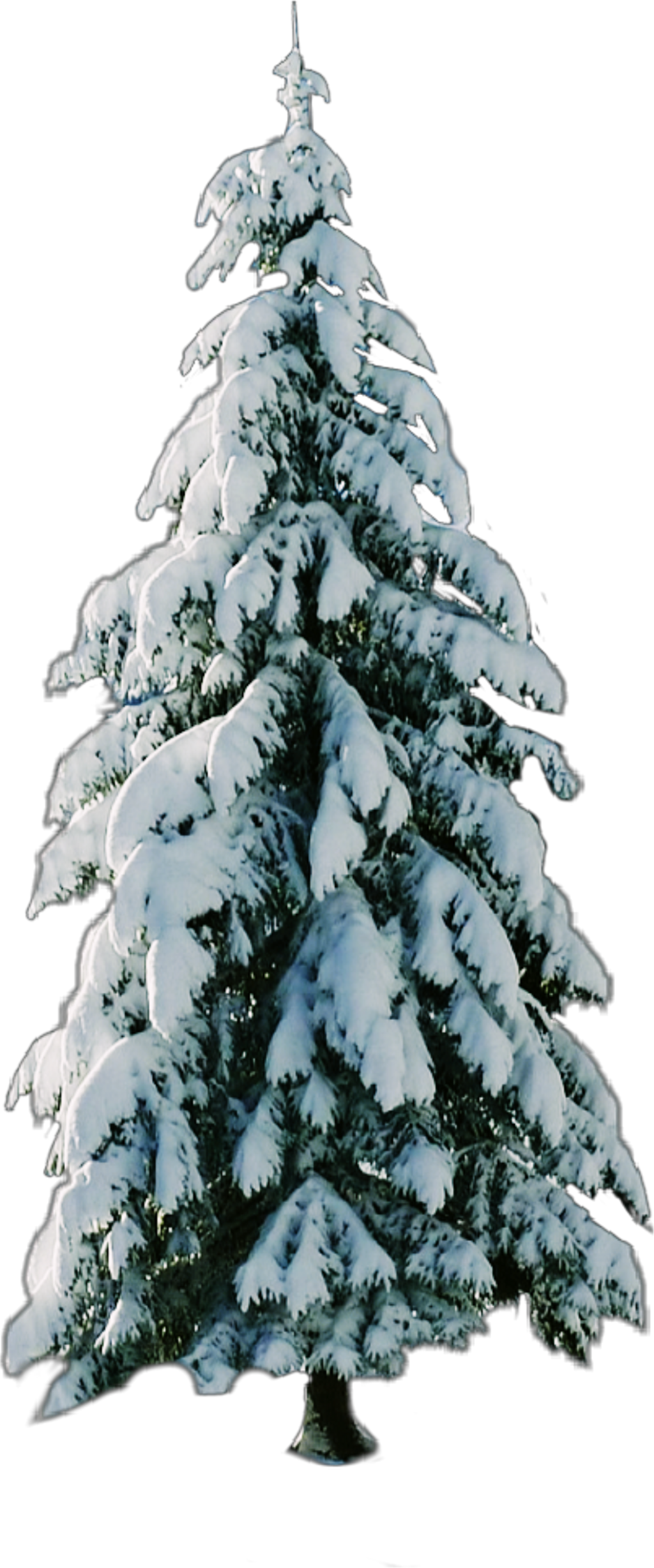 Report Abuse - Christmas Tree (1024x2456), Png Download