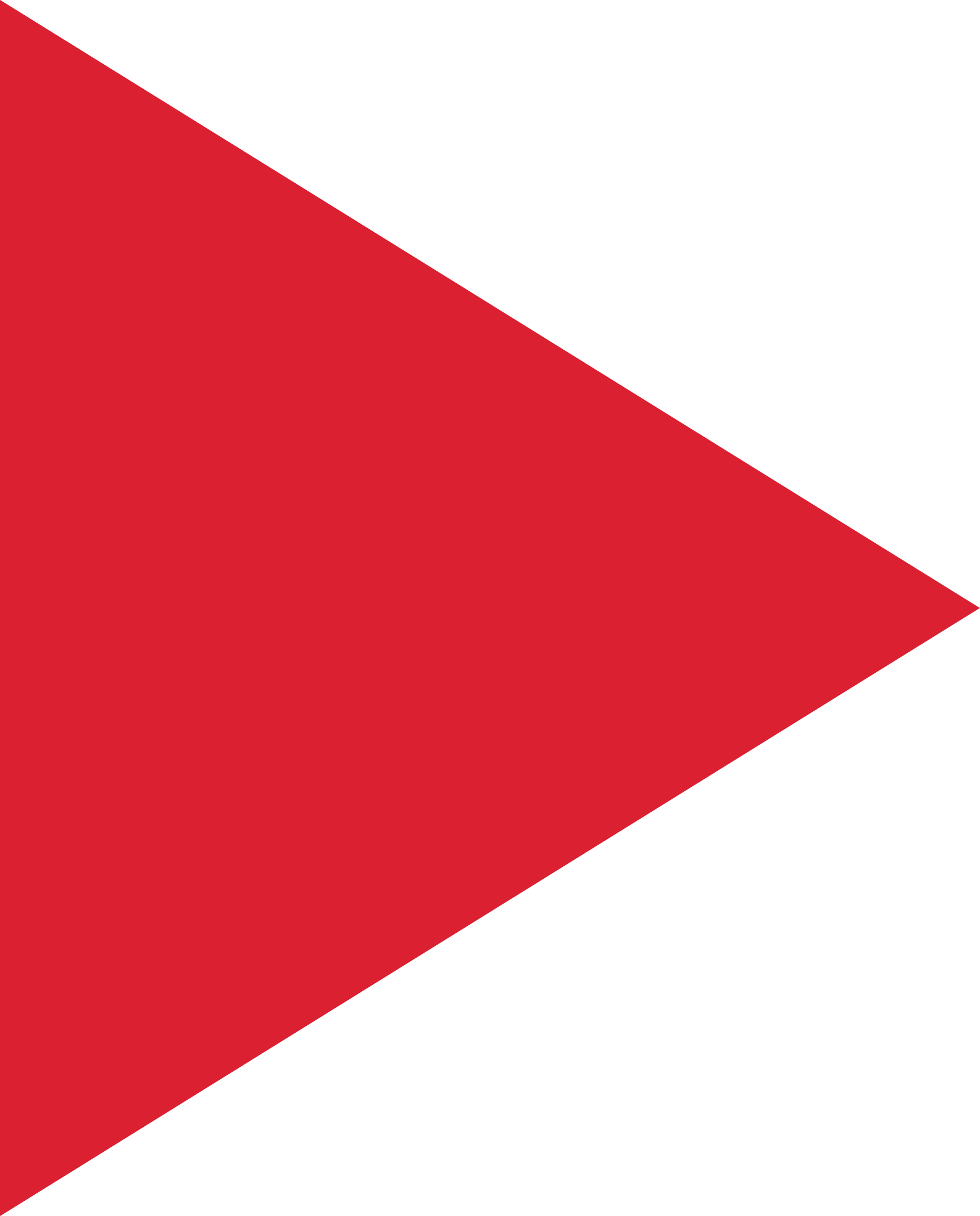 Transparent Media Media That Light Can Pass Through - Red Arrow Right (1813x2250), Png Download