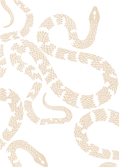 Motif (800x750), Png Download