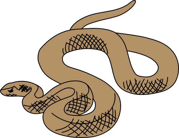 Red Rattlesnake Cliparts - Brown Snake Clipart (600x464), Png Download