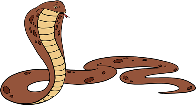 Rattlesnake Clipart Simple Snake - King Cobra Drawing Png (678x600), Png Download