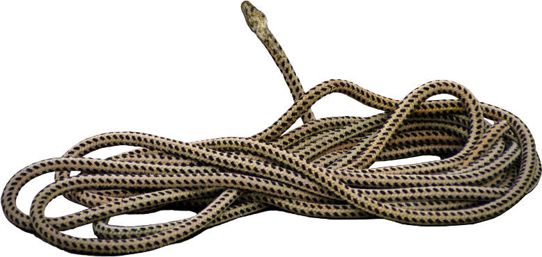 Actions - Wire (816x400), Png Download