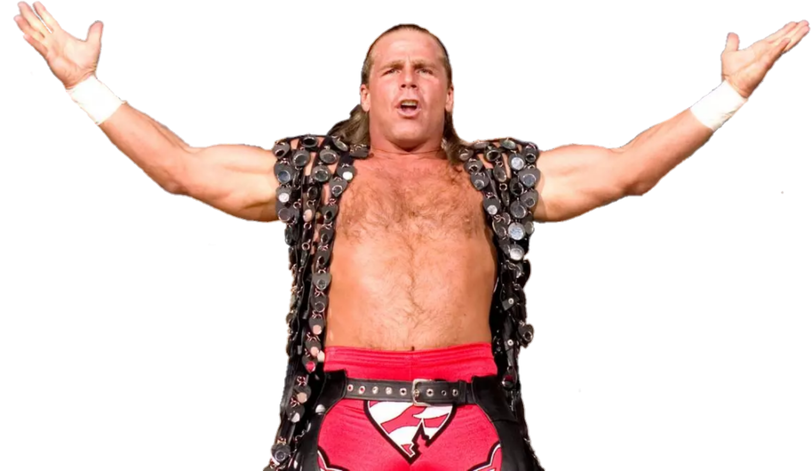 Image Id - - Wwe Hall Of Fame Wrestelers (1600x939), Png Download