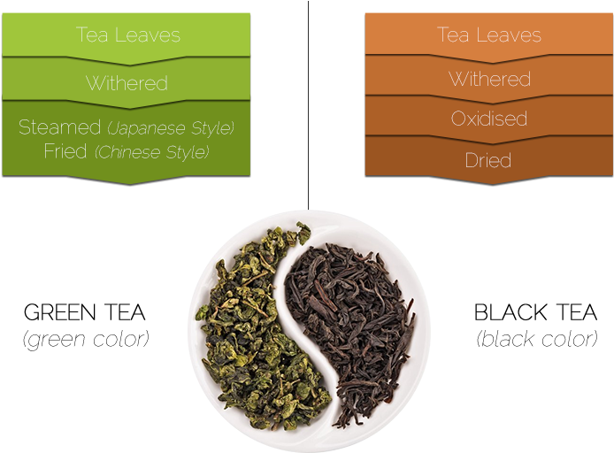 Why Green Tea Is Different - Use Henna For Hair Growth (760x560), Png Download