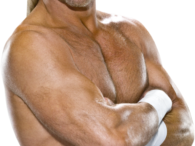 Shawn Michaels Png Transparent Images - Hbk (640x480), Png Download
