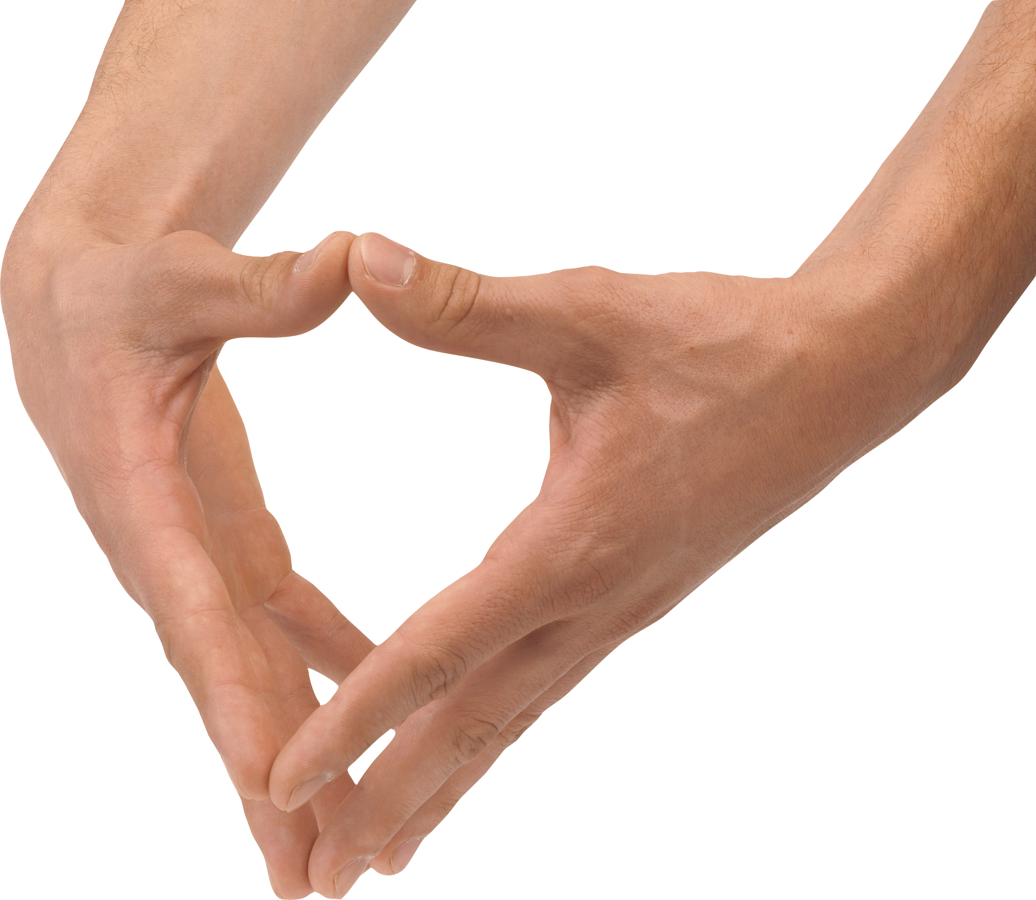 Legs Hands Clipart Png - Human Hands Transparent (2087x1812), Png Download