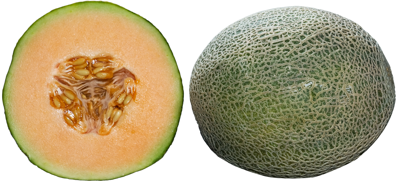 Whole And Half Cantaloupe Png Image - Whole Cantaloupe (1400x680), Png Download