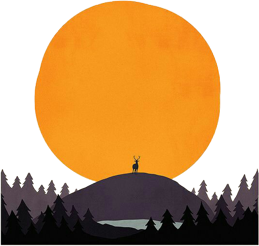 Greeting Afternoon Wish Illustration - Sun Graphic Illustration (552x640), Png Download