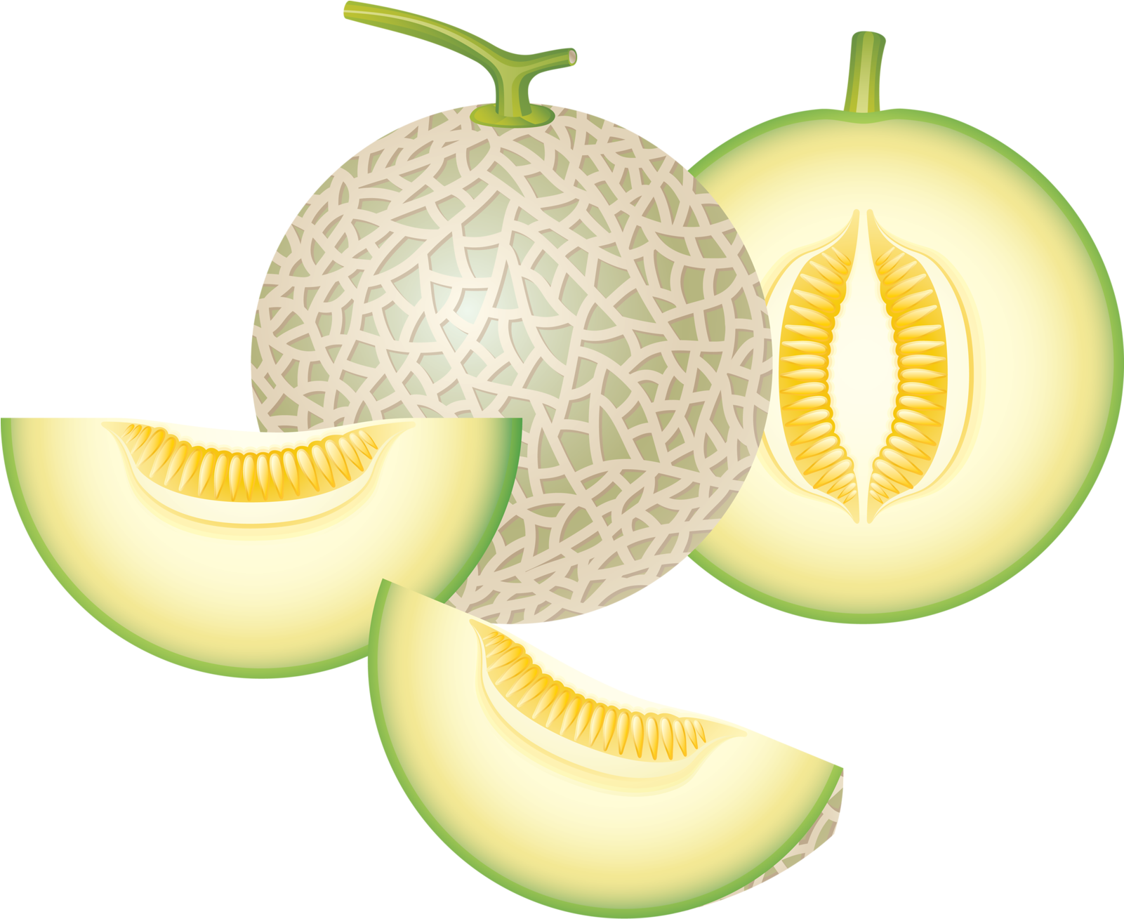Яндекс - Фотки - Honeydew Melon Clipart (1600x1339), Png Download