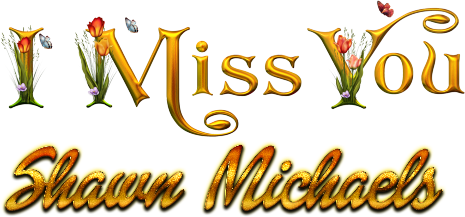Shawn Michaels Missing You Name Png - Dekorjinal Harf Dekoratif Yastık Kılıfı - 40x40 Cm (1832x924), Png Download