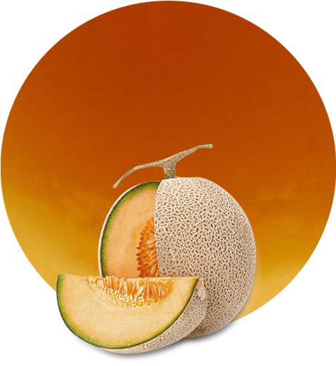 Our Cantaloupe Melon Concentrate Has The Best Quality - Honeydew (536x595), Png Download