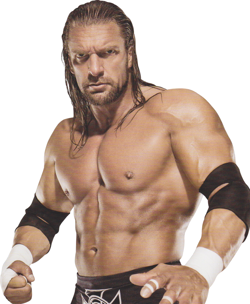 Wwe Shawn Michaels And Triple H - Wwe: Greatest Stars Of The New Millenium (400x485), Png Download