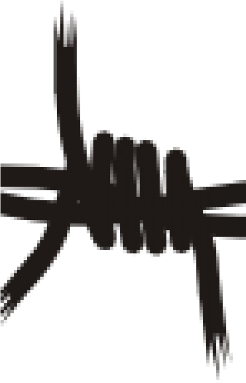 Barbwire-500x1000 - Barbed Wire Clip Art (500x1000), Png Download