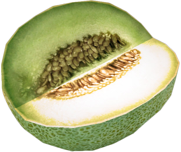 Dead Rising Melon - My Personal Diet Journal & Food Diary Set Goals (621x523), Png Download