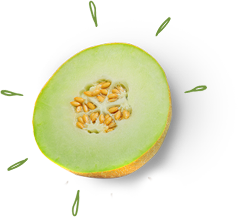 Honeymoon - Melon (473x431), Png Download