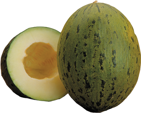 Piel De Sapo - Santa Claus Melon (500x500), Png Download