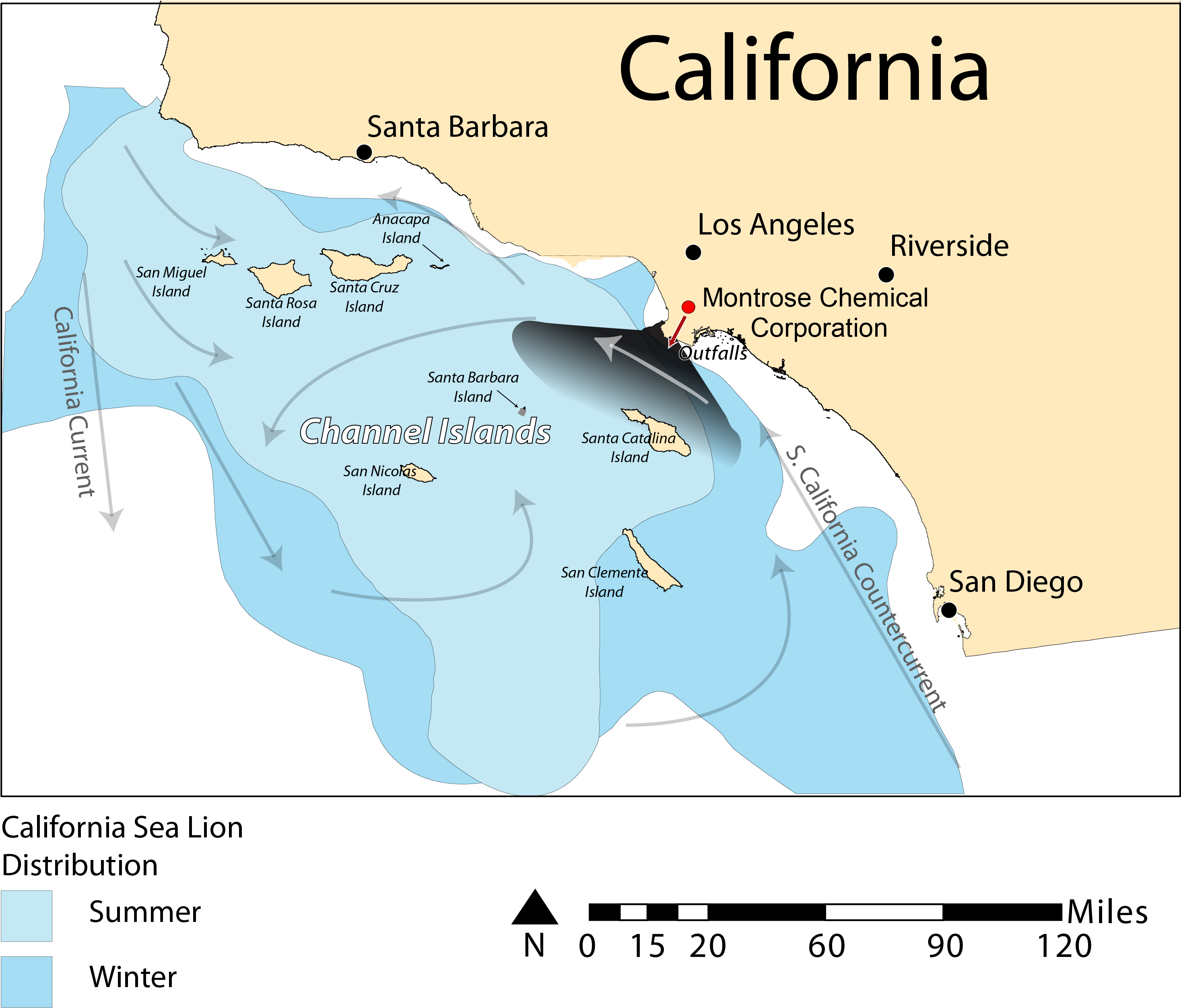 California Sea Lion Distribution - Distribution Of California Sea Lions (3300x2550), Png Download