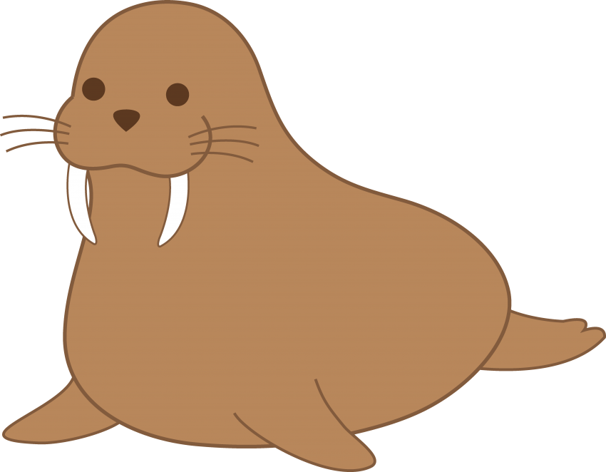 Free Png Walrus Png Images Transparent - Walrus Clipart (850x662), Png Download