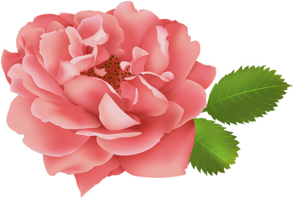 Red Rose Flower Bush Clip Art Image Gallery Yopriceville - Clip Art (600x413), Png Download