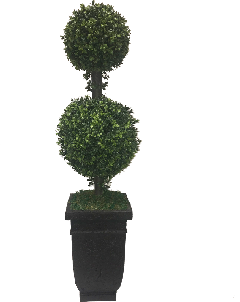 Topiary Hedge Shrub Bush Plant Freetoedit - Trees N Trends (1024x1024), Png Download