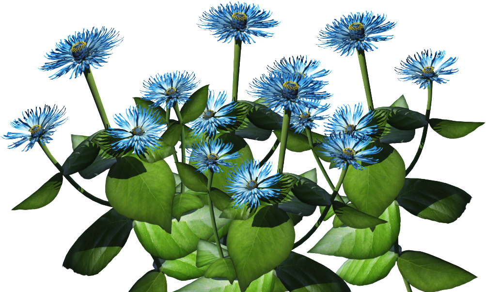 Blue Plant Png - Flower Bush Png Transparent (1023x682), Png Download