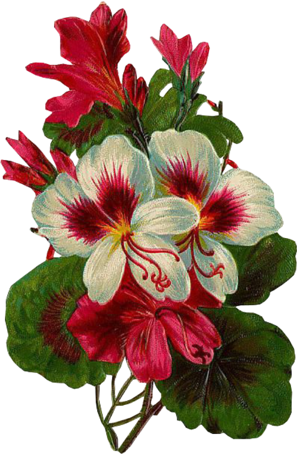 Leaves Png Green Kpopedit Edits Edit Overlay Flower - Congratulation Flowers (1024x1024), Png Download