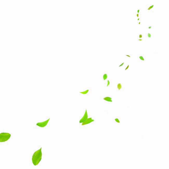 Falling Green Leaves Png Photo - Insect (650x651), Png Download