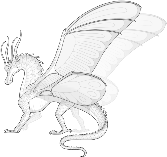 Vector Royalty Free Library Albatross Drawing Tribal - Wings Of Fire Silkwings (600x569), Png Download